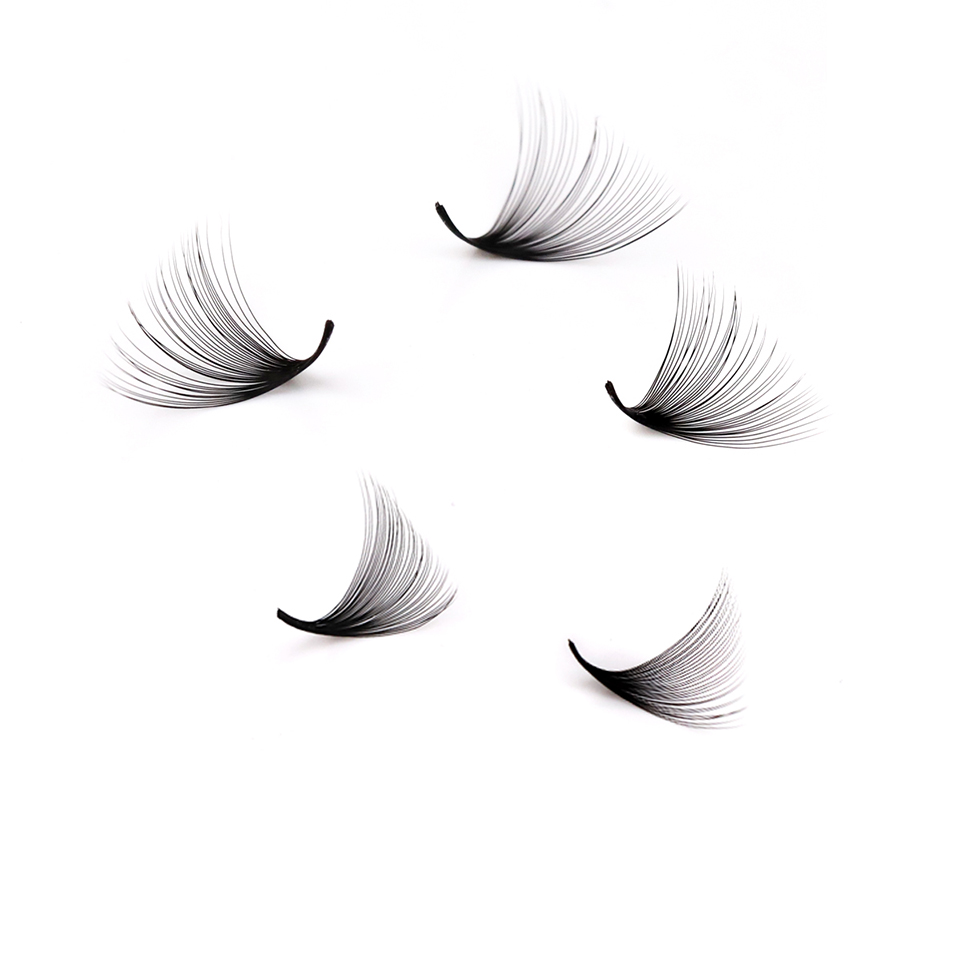 Lashprofessor XL Tray 3D 4D 5D - Eyelash Extension Review recensione e prezzo