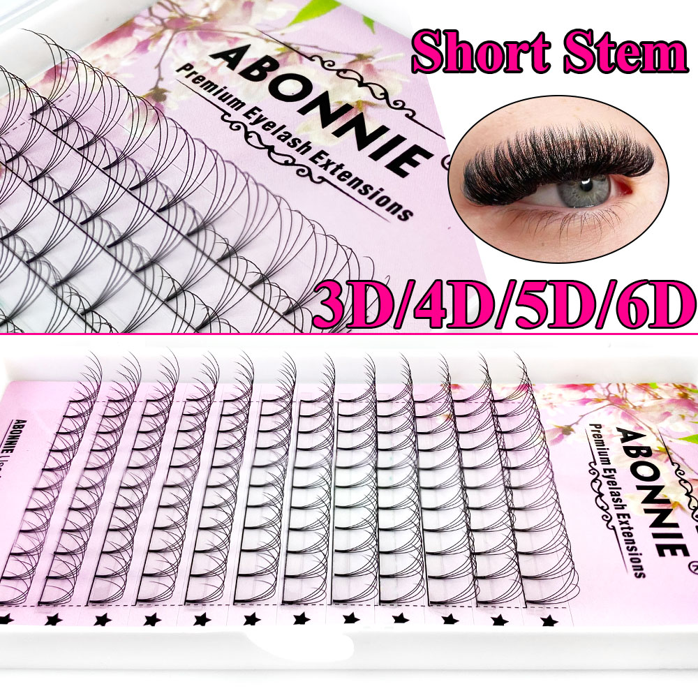 Abonnie 6D Narrow Fan Premade  - Eyelash Extension Review recensione e prezzo